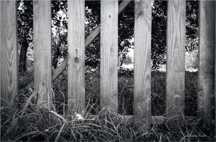 Паркан дерев'яний