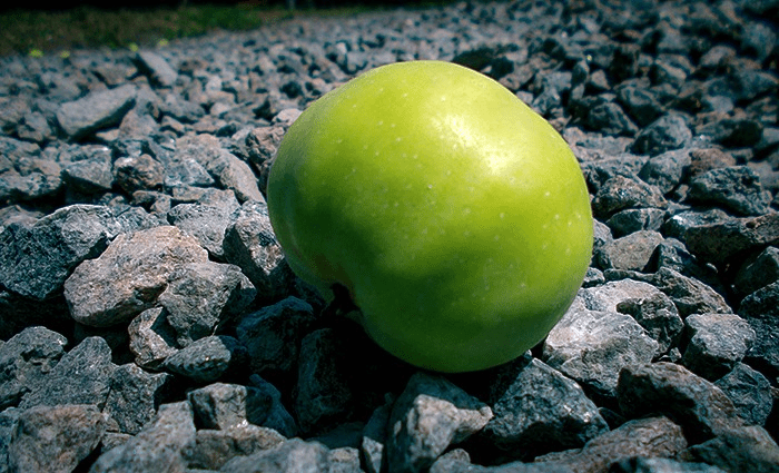 Зелене яблуко з відблиском сонця лежить на камінні