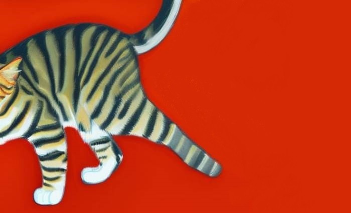 Смугаста кицька на червоному тлі